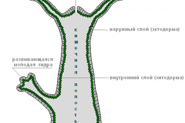 Зеркало сайта омг онион