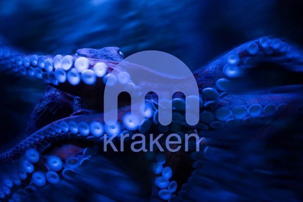 Ссылка на тор браузер kraken