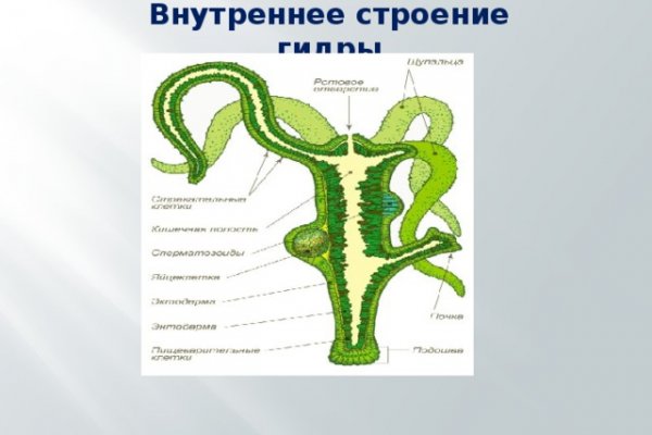 Кракен онион ссылка зеркало